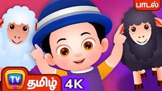 பாடி திரியும் கருப்பாடே (Baa Baa Black Sheep) - Tamil Rhymes in 4K for Kids | ChuChu TV